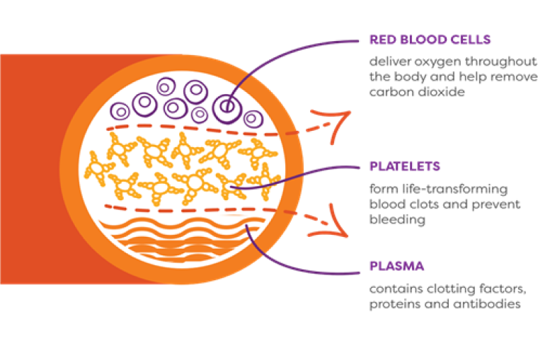 Platelet-large-graphic.png
